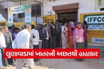 fertilizer shortage lunawada 1