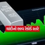 india 2025 12 11T142843.867