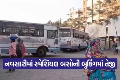 gujarat st wedding season boom 1
