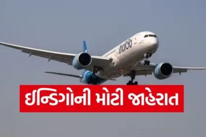 indigo 1