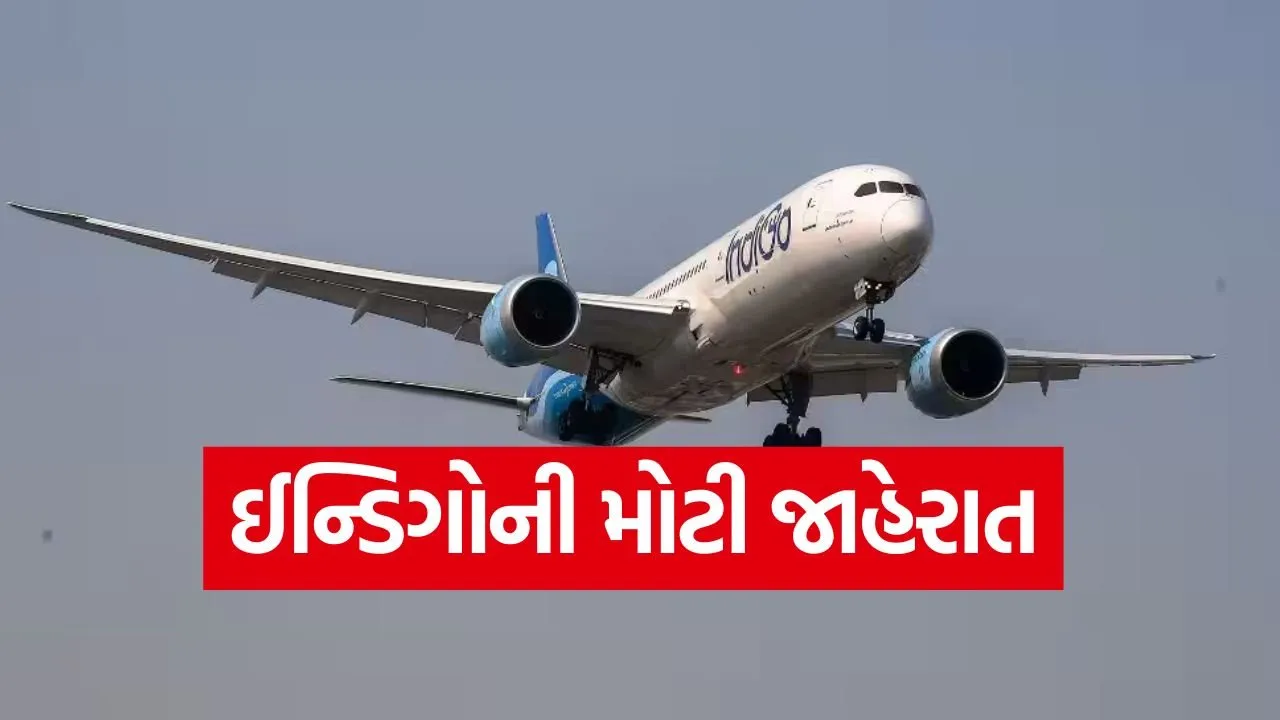 indigo 1.jpg