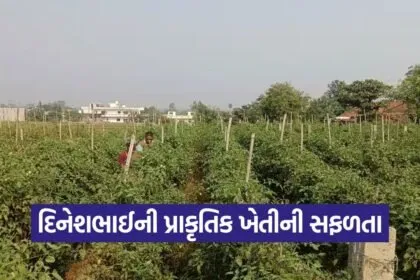 natural farming dahod 1