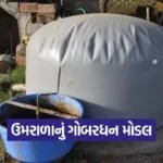 gobardhan umarala village 1