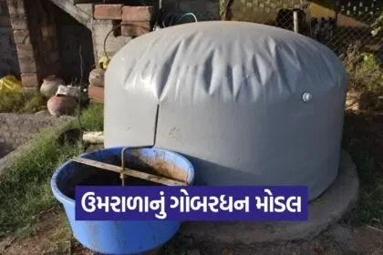 gobardhan umarala village 1