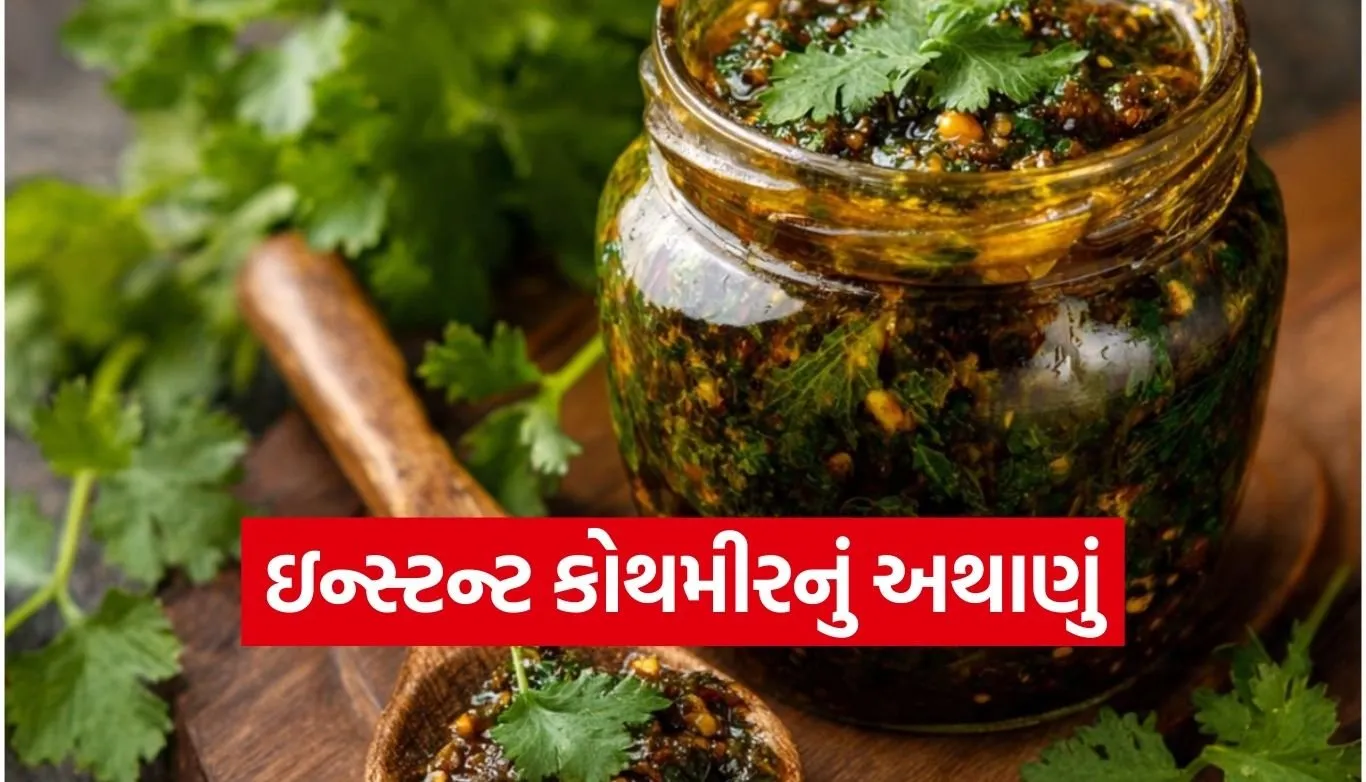 Instant Coriander Pickle Recipe