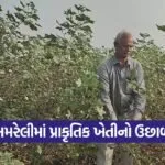 natural farming Amreli