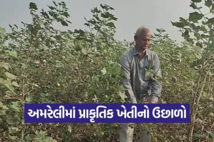 natural farming Amreli