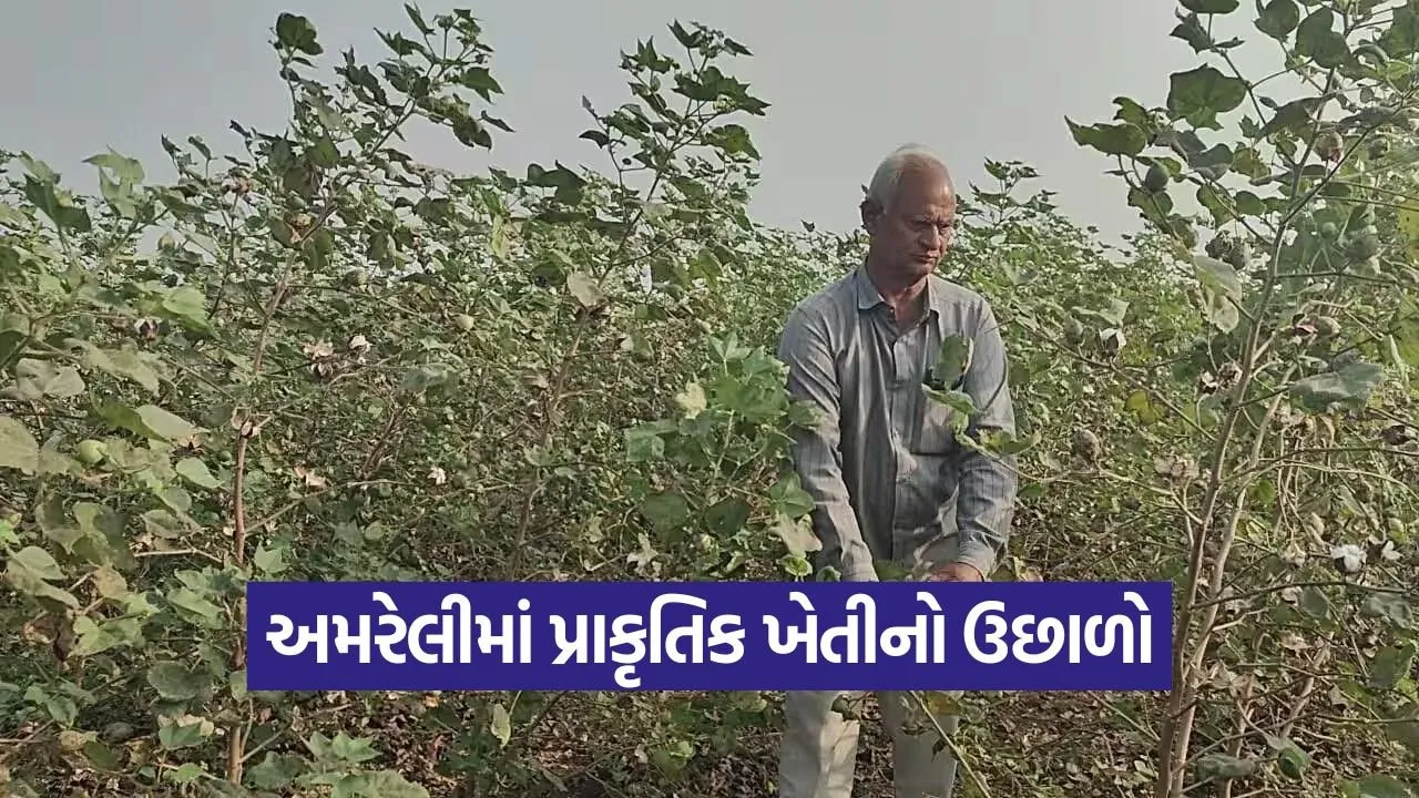 natural farming Amreli.jpg