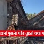 valsad bridge collapse 1
