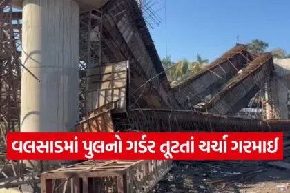 valsad bridge collapse 1