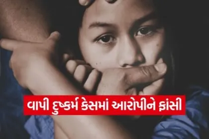 vapi pocso verdict 1