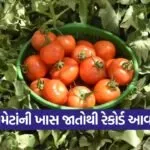 modern farming success 1