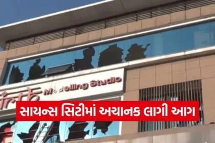 ahmedabad science city fire incident 1