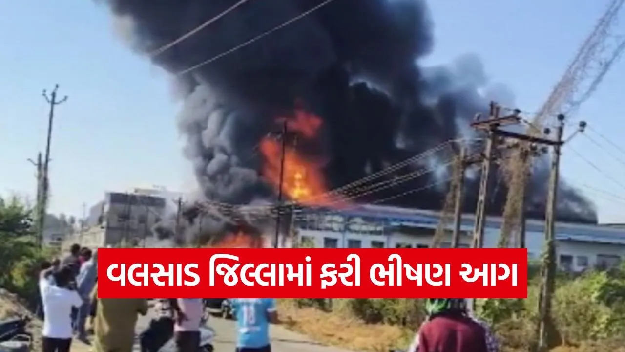 valsad industrial fire.jpg