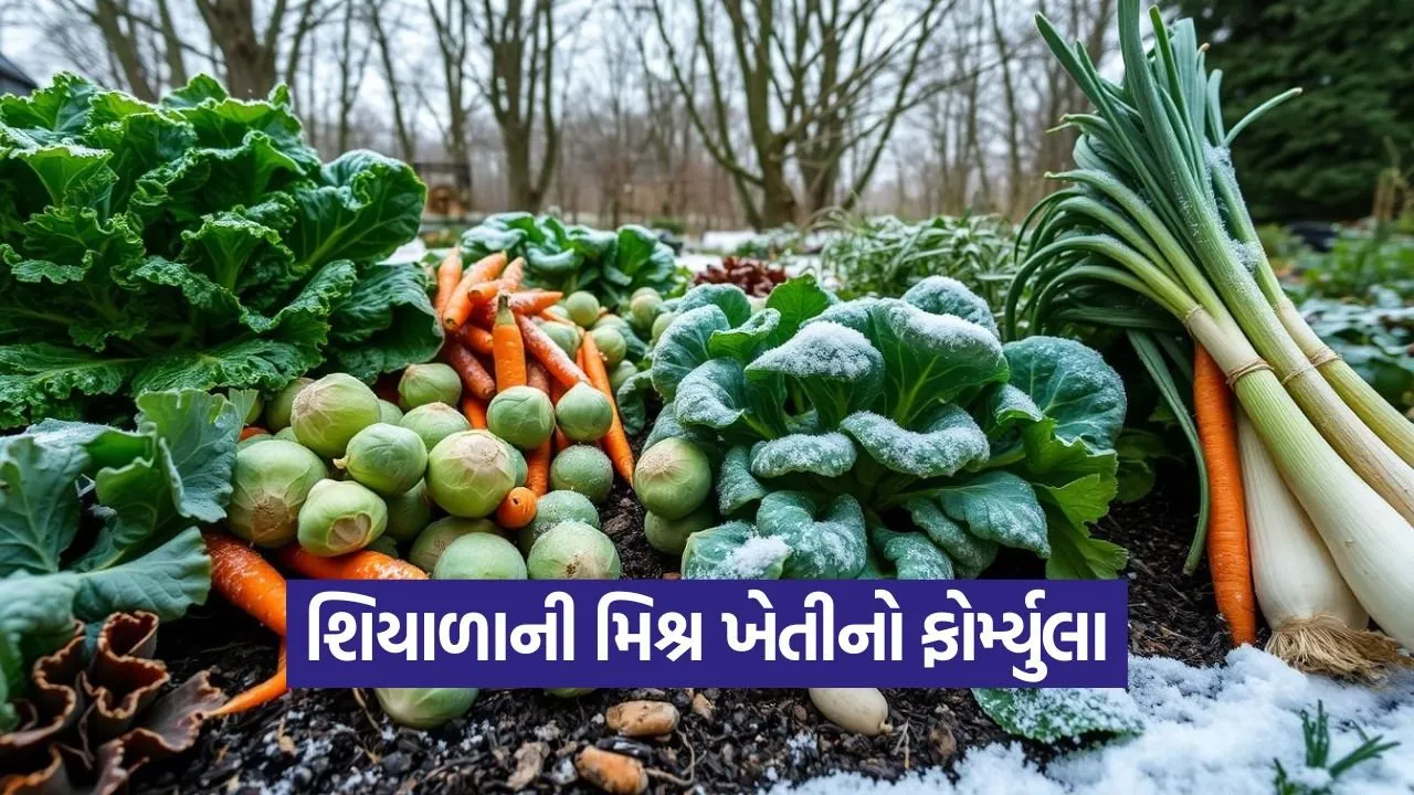winter crop diversity 1.jpg