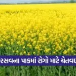mustard crop pests 1