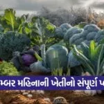 December farming tips 1