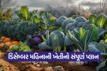 December farming tips 1