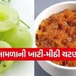 Sweet and sour gooseberry chutney