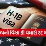 Visa 4