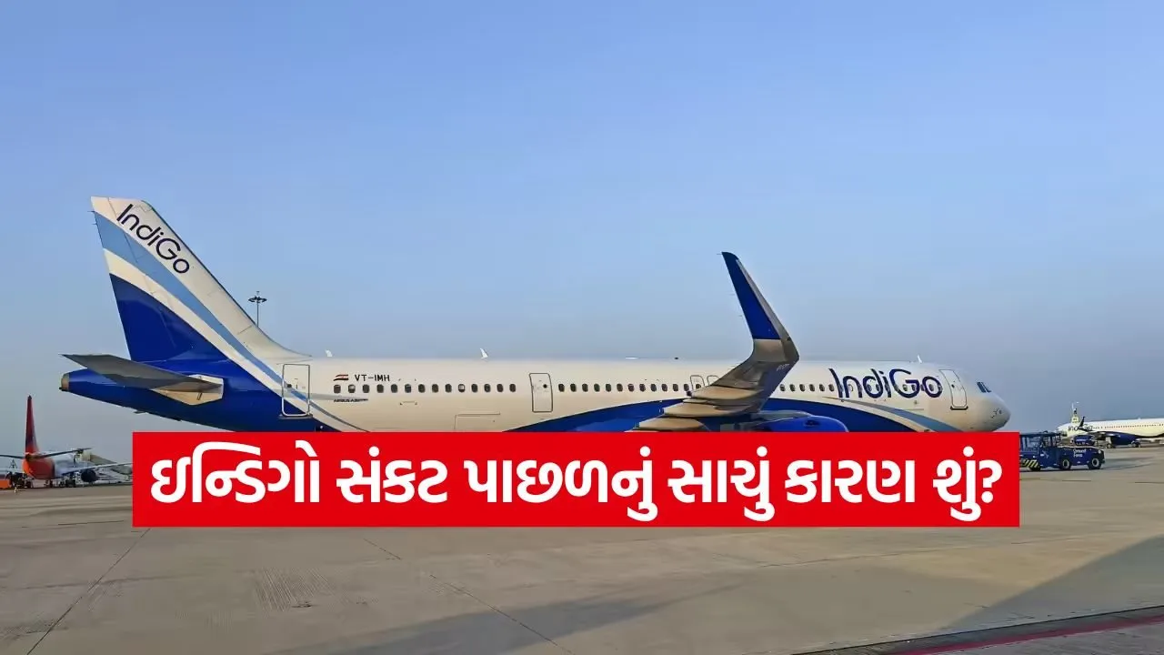 indigo 1.jpg