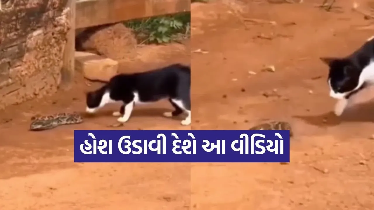 video9.jpg