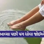 Copy of Satya web temp 66