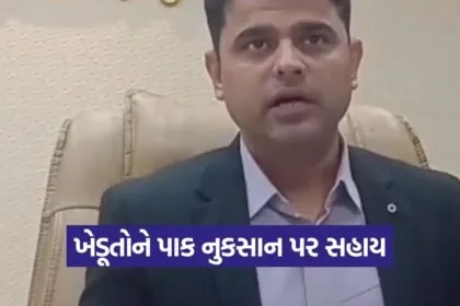 Gujarat farmer relief package