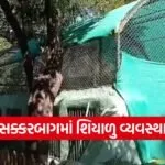 winter management sakkarbagh zoo 1