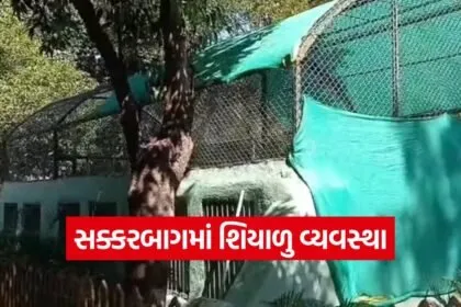 winter management sakkarbagh zoo 1