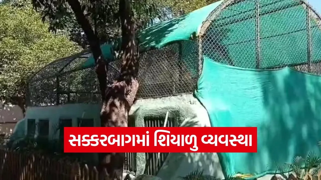 winter management sakkarbagh zoo 1.jpg