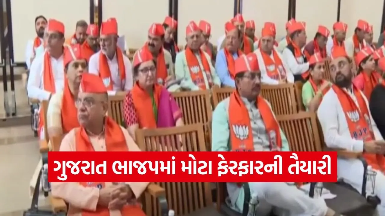 Gujarat BJP 1.jpg