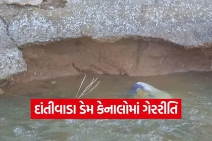 dantiwada dam canal corruption