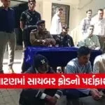 operation mule hunt Patan