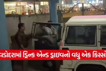 drink and drive accident Vadodara