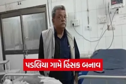 mob attack on officials 1