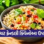 Quinoa Upma