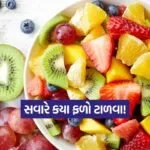 fruit