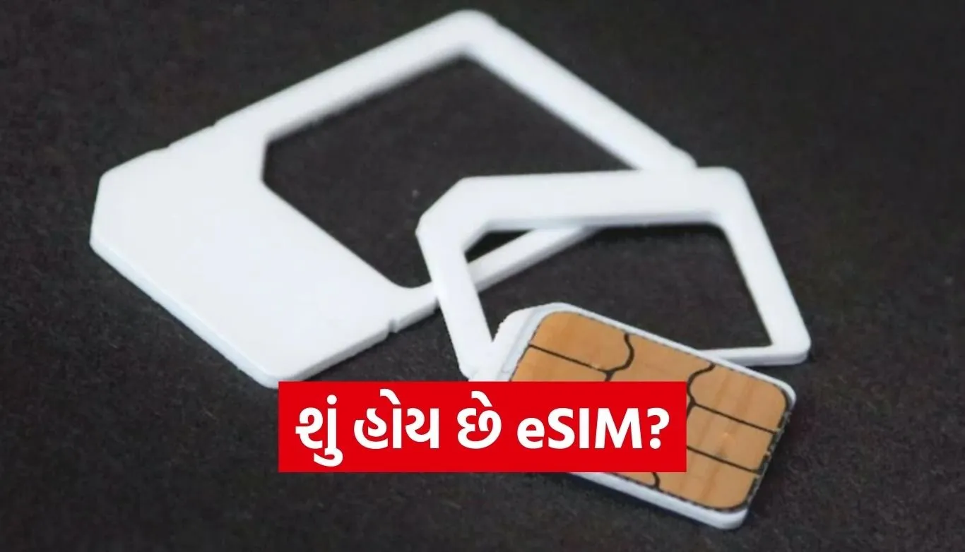 e-SIM
