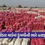 Gondal Marketing Yard