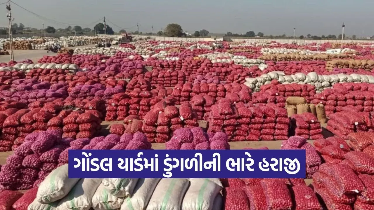 Gondal Marketing Yard.jpg