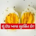 egg3