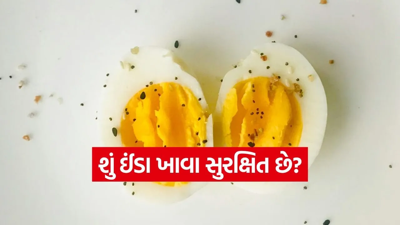 egg3.jpg