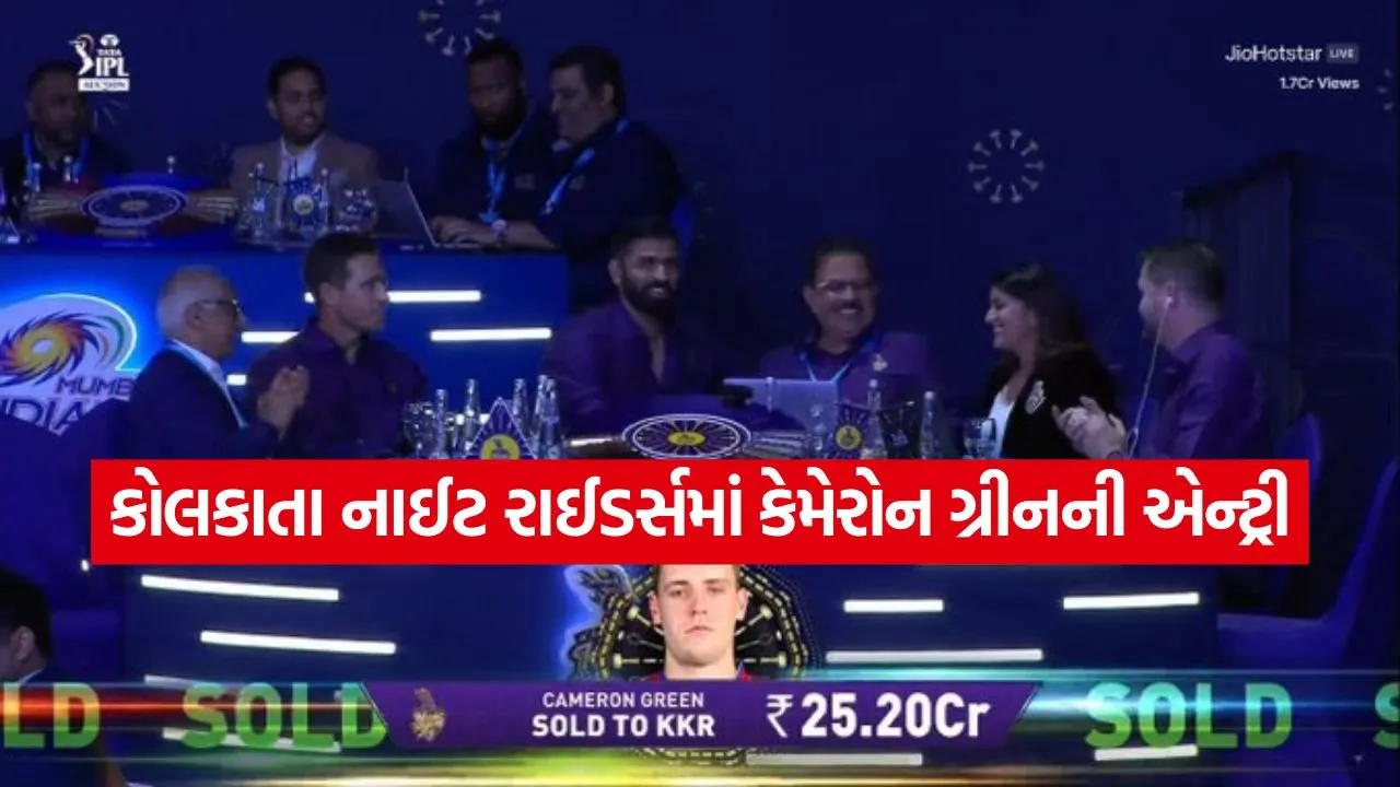 INDIA 1 9.jpg