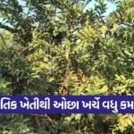 Natural Farming 1