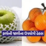 fruits