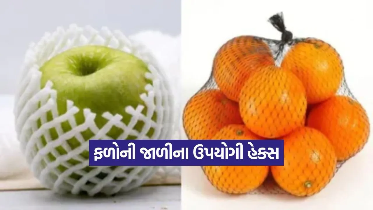 fruits.jpg
