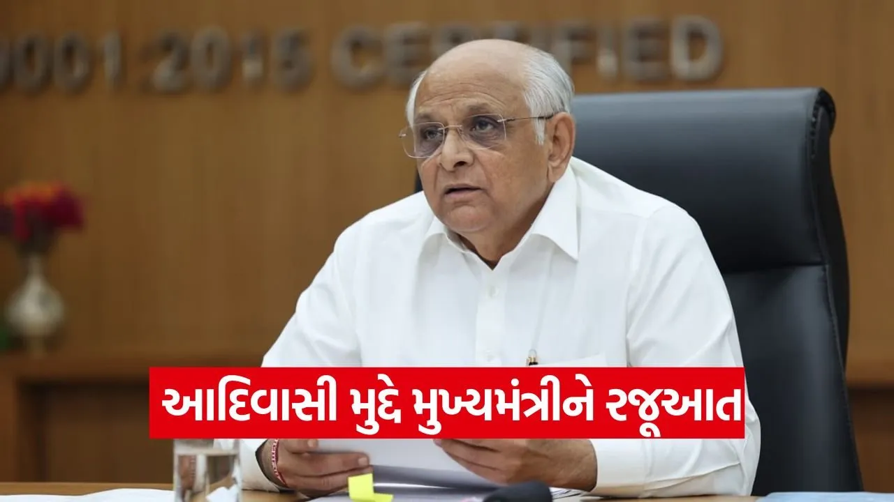 forest dispute gujarat 1.jpg