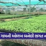 plant nursery business 1