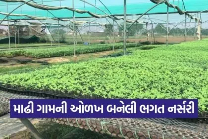 plant nursery business 1